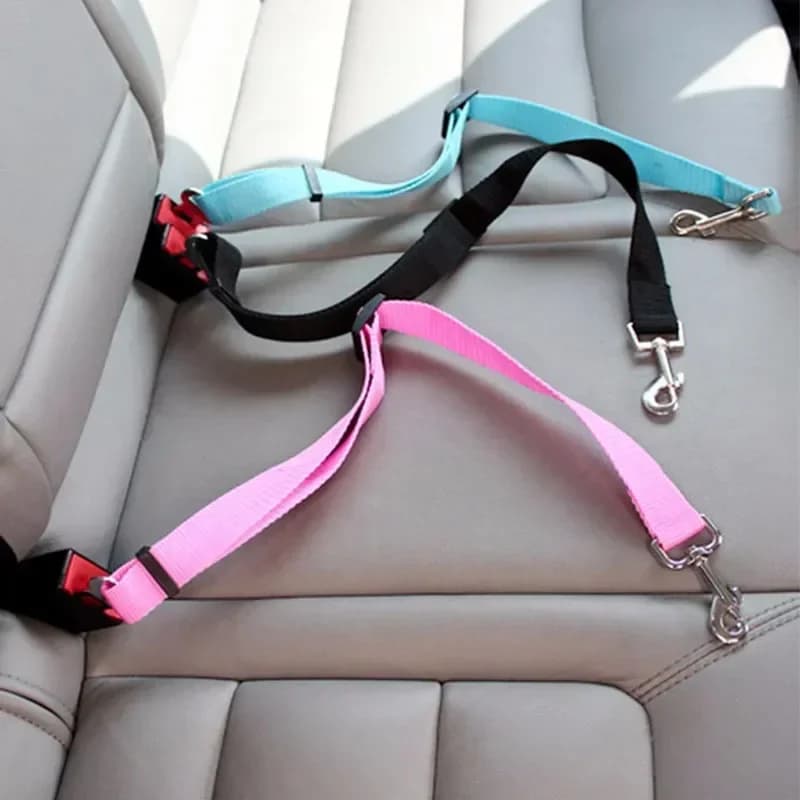 Ceinture de sécurité réglable pour animaux de compagnie (chats et chiens) pour voiture, harnais de voiture pour animaux, clip de laisse, levier de