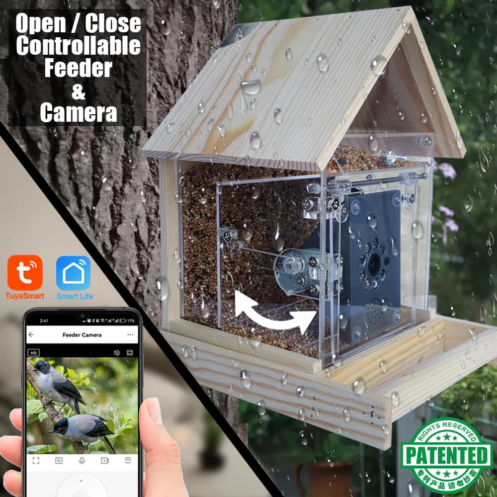 Mangeoire à oiseaux Tuya avec caméra, distributeur de nourriture pour animaux, contrôle intelligent via application, vision nocturne, Smart Life,