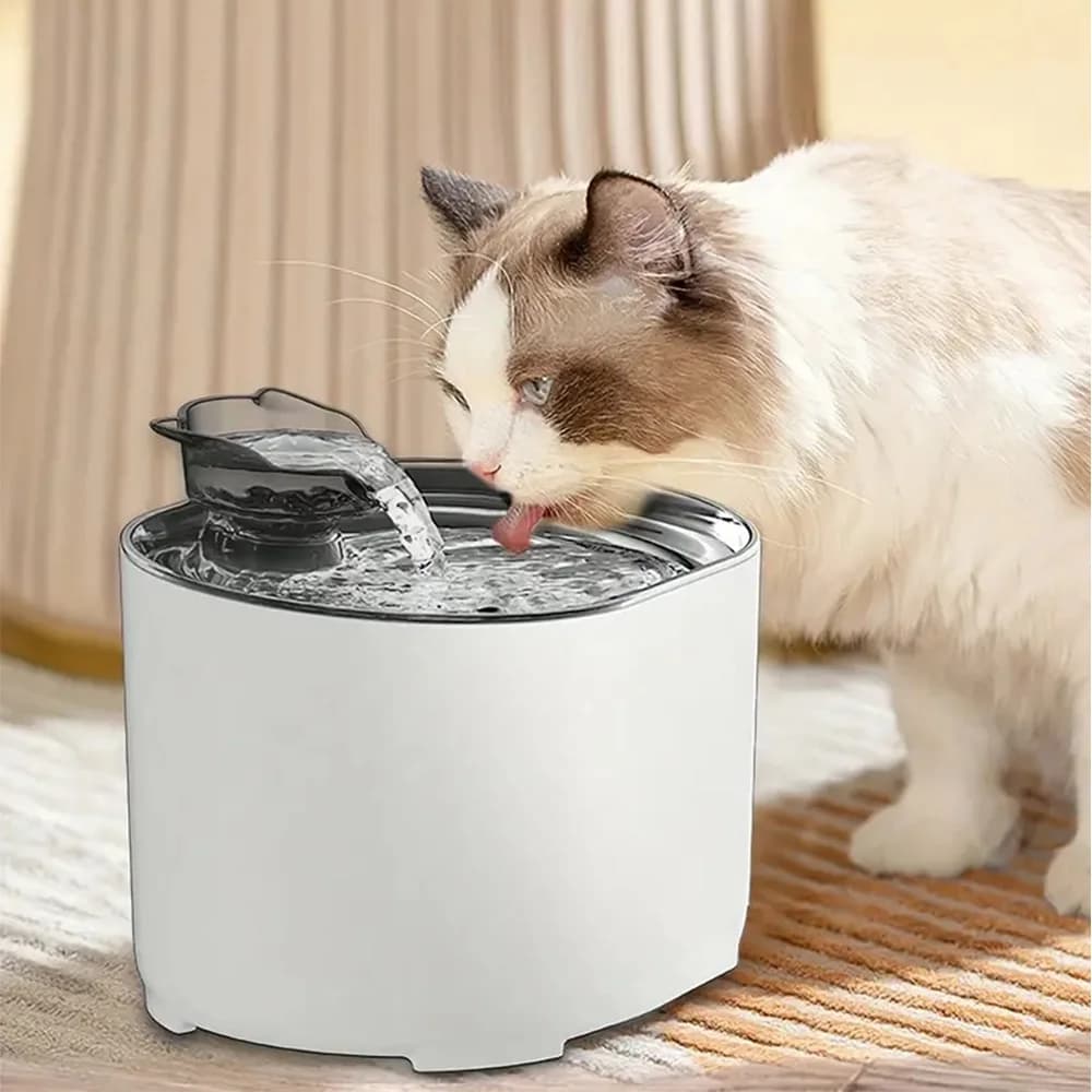 Fontaine d'eau pour chat, Recirculation automatique, distributeur d'eau pour chien et chat, pompe électrique silencieuse USB, oreille de chat,