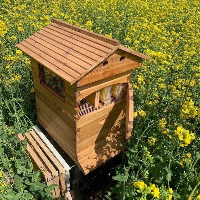 Ruche en bois à écoulement automatique, sans extracteur de miel rotatif, équipement d'apiculture