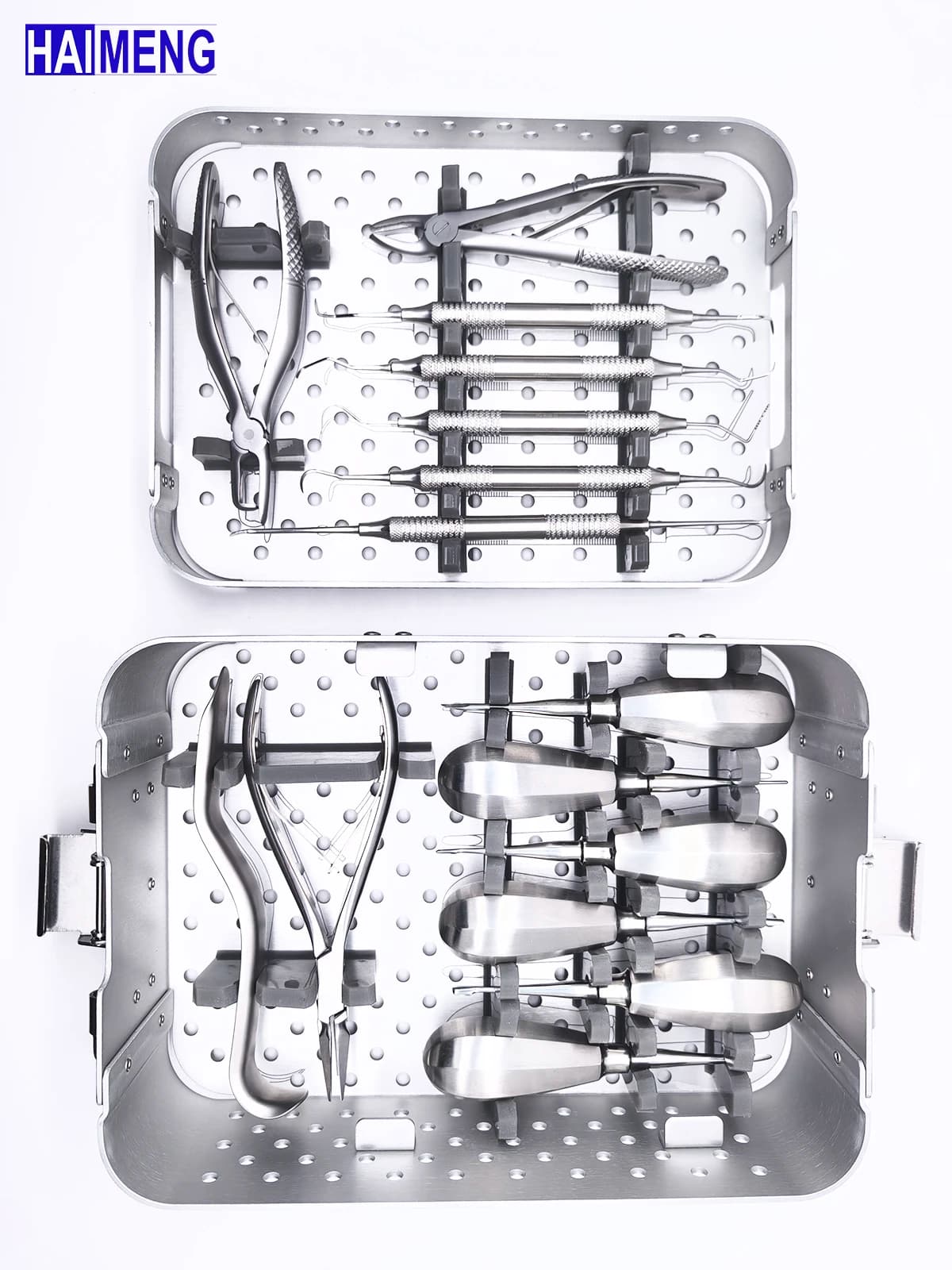 Canin vétérinaire, Kit d'instruments dentaires félins, lève-dents Mascotas, outils manuels vétérinaires, équipements dentaires pour petits