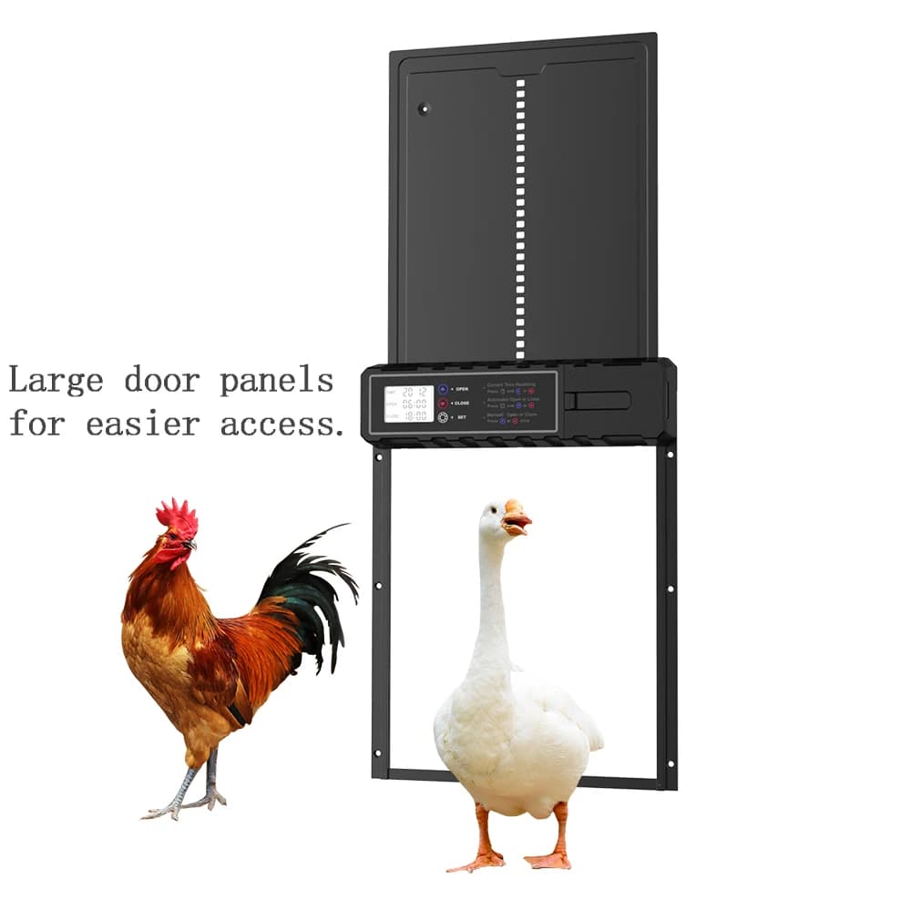 Ouvre-porte automatique surdimensionné amélioré pour poulailler, ouvre-porte entièrement en acier inoxydable amélioré avec minuterie, 3 piles AA