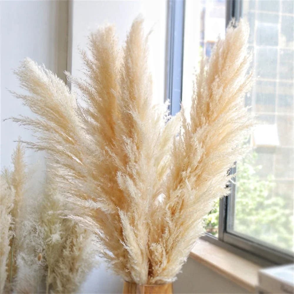 Herbe de Pampa de 80 à 120cm de haut, Bouquet de fleurs séchées naturelles moelleuses et grandes, décoration de maison Boho, cadeau, décorations