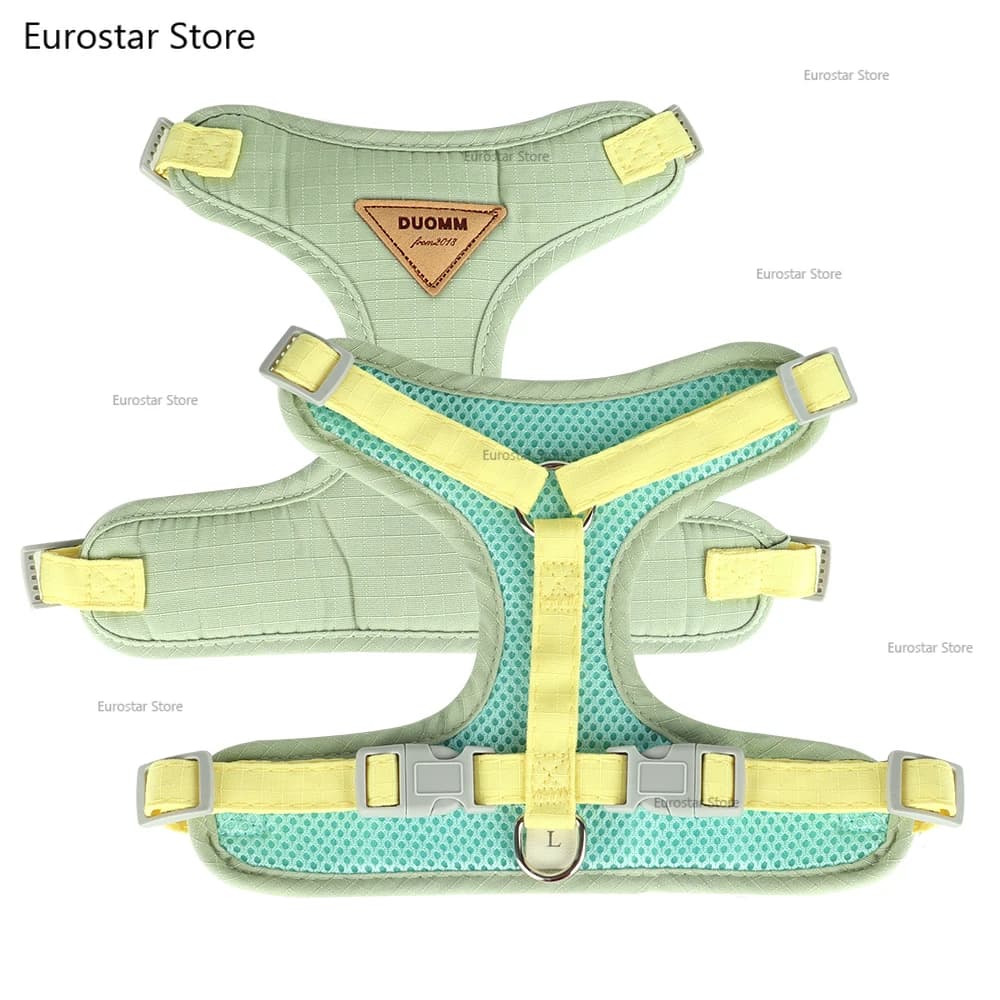 Ensemble laisse et harnais pour chien et chat en maille nylon respirante, tissu suédé doux, pour chiots, chiens et chats de petite et moyenne taille