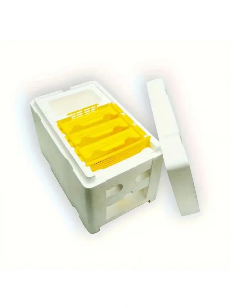 Boîte d'accouplement Queen-volive compacte en mousse et plastique Durable pour les apiculteurs-colive NUC d'élevage Queen Bee, outils pour
