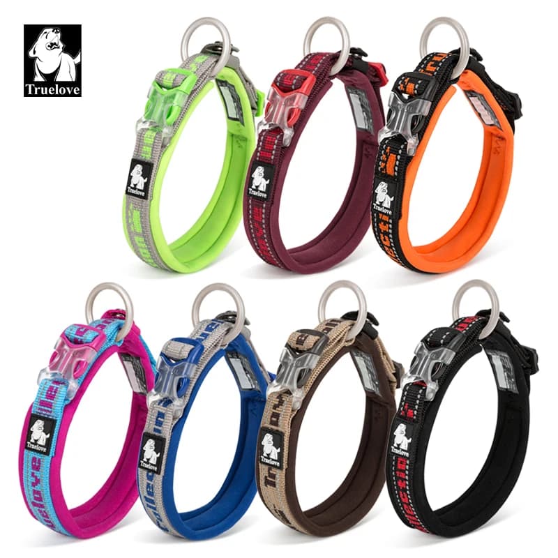 Truelove collier pour chien en Nylon réfléchissant réglable boucle Duraflex petit chat grand chien broder néoprène avec laisse pour chien