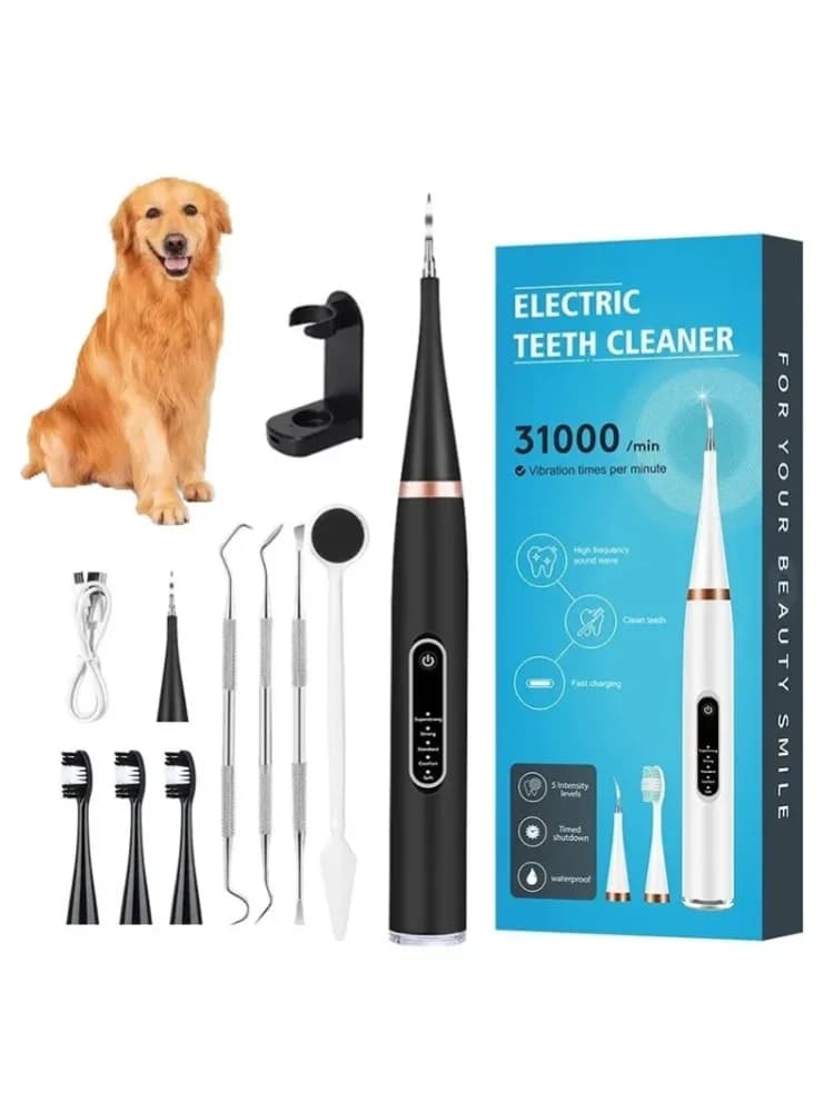 Nettoyeur dentaire ultrasonique pour chien, brosse à dents électrique, éliminateur de plaque dentaire, instrument de beauté pour animaux de