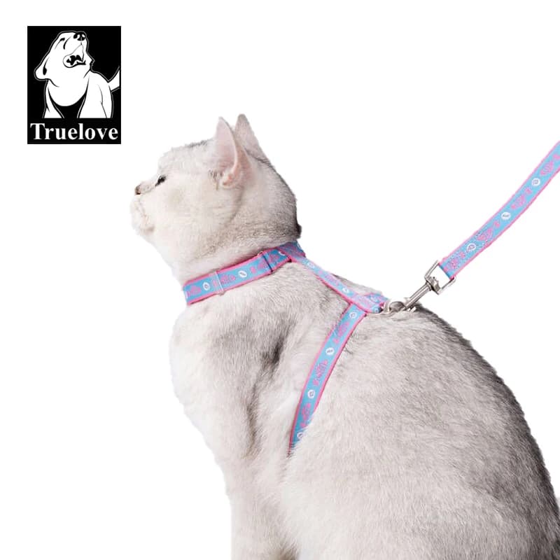 TRUELOVE-Ensemble de Laisse en Forme de H SFP + pour Animal de Compagnie, Artefact Spécial pour Empêcher la Rupture, pour la Maison ou Sortir,