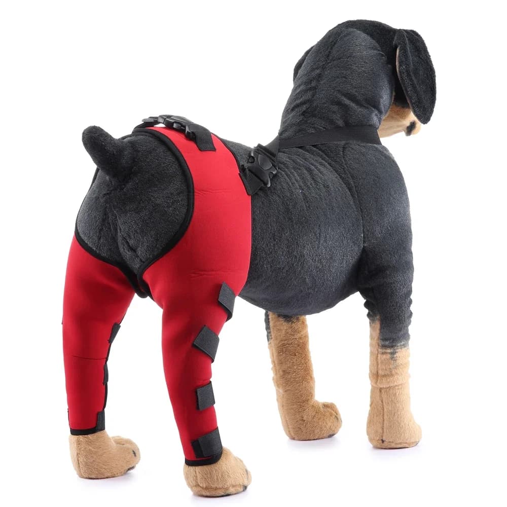Genouillères pour chiots de compagnie, attelles arrière pour chiens blessés, attelle de soutien pour blessures, enveloppe articulaire, protection