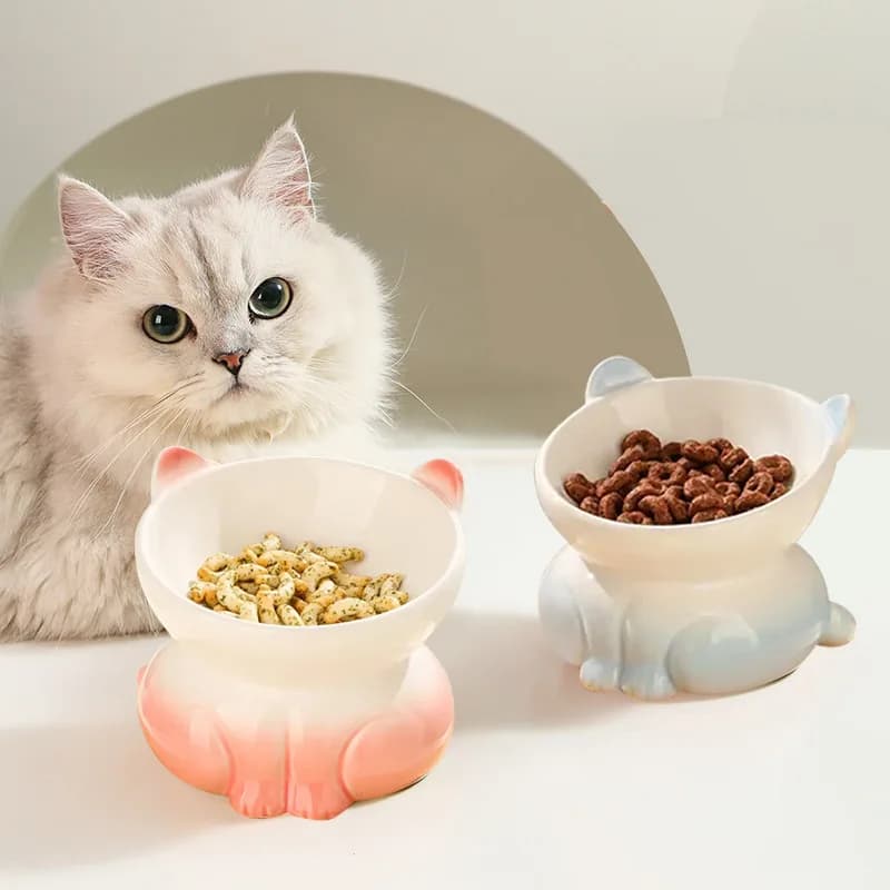 Filles en céramique nickel é pour animaux de compagnie, bol de nourriture pour chat, bol de nourriture pour chien, bol à boire anti-basculement,