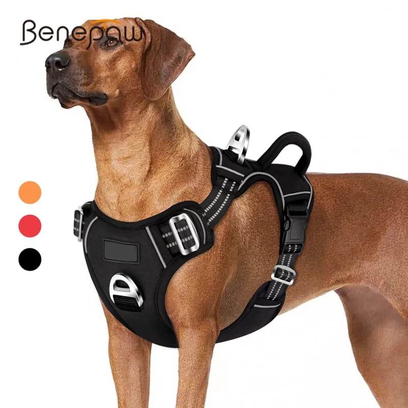 Benepaw – harnais pour chien sans traction, poignée de contrôle facile, harnais réfléchissant pour animaux de compagnie, 2 Clips de laisse,