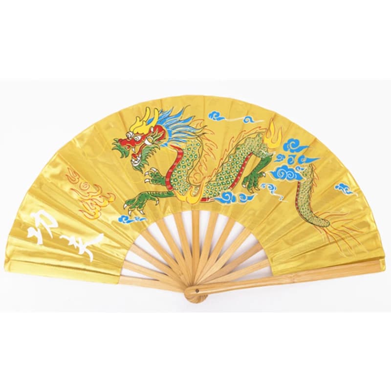 Ventilateur pliable Tai Chi Kung Fu Dragon Crane, pour exercices d'arts martiaux, Fitness, Performance de danse classique chinoise