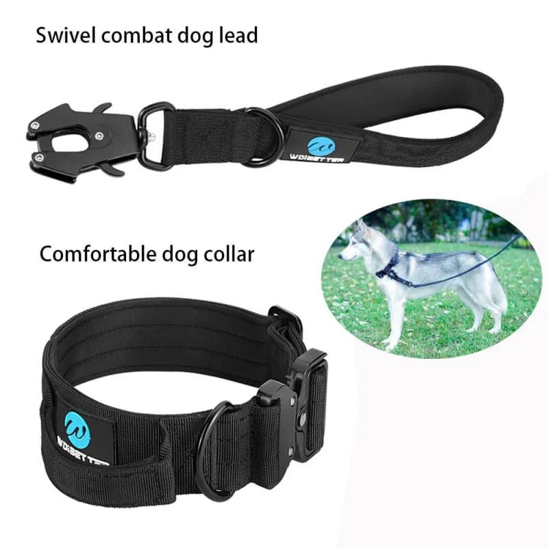 Laisse collier de chien tactique, militaire réglable Durable formation Nylon Shepard boucle en métal animal de compagnie grand chien harnais