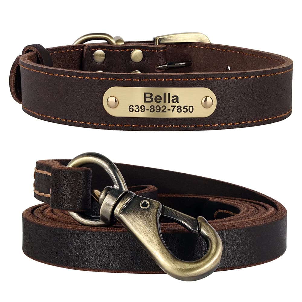 Ensemble de laisse de collier de chien personnalisé, colliers de chien en cuir véritable Durable, collier d'identification d'animal de compagnie