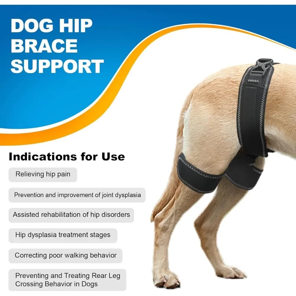 Orthèse orthopédique de hanche de chien, Support pour la dysplasie de la hanche, soulage la douleur, prévient l'articulation de la hanche,