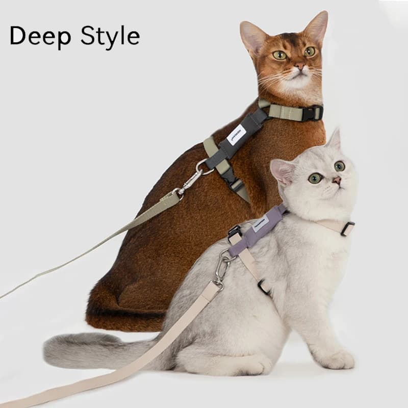 Ensemble de harnais et laisse pour chat, corde de Traction, sangle de poitrine pour chaton, fournitures d'extérieur pour animaux de compagnie,