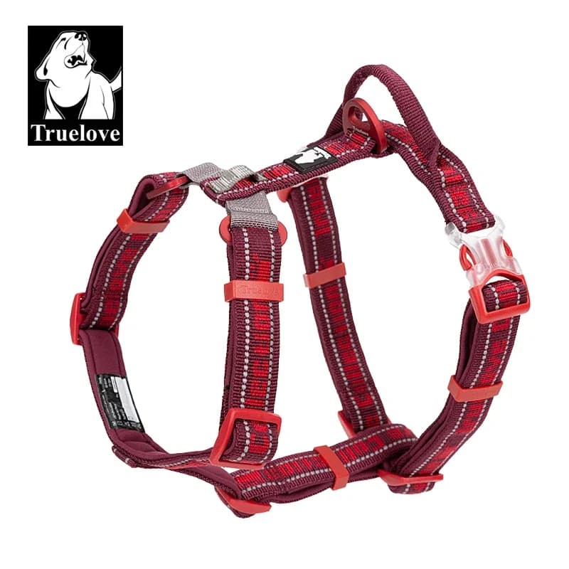 TrueLove-Sangle en nylon avec lumière LED pour gros chien, fournitures de gril SFP pour animaux de compagnie, TLH6172