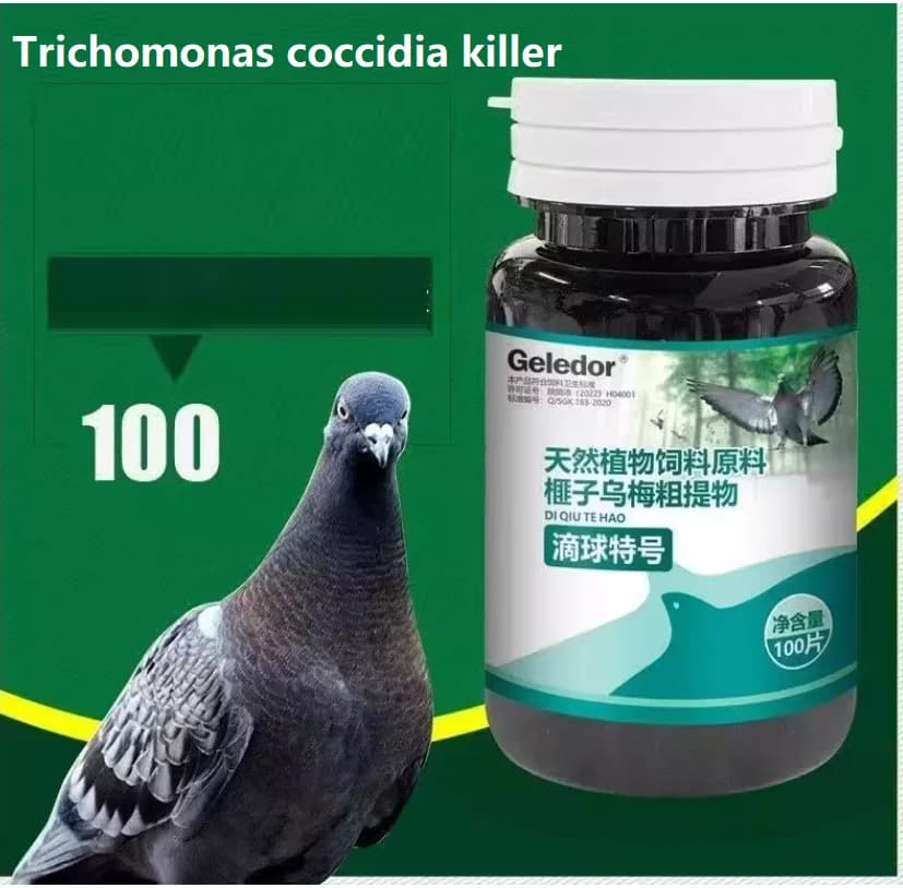 Infection combinée de trichomonas et de coccidiose chez le pigeon, troubles digestifs, selles nodulaires, 100 comprimés