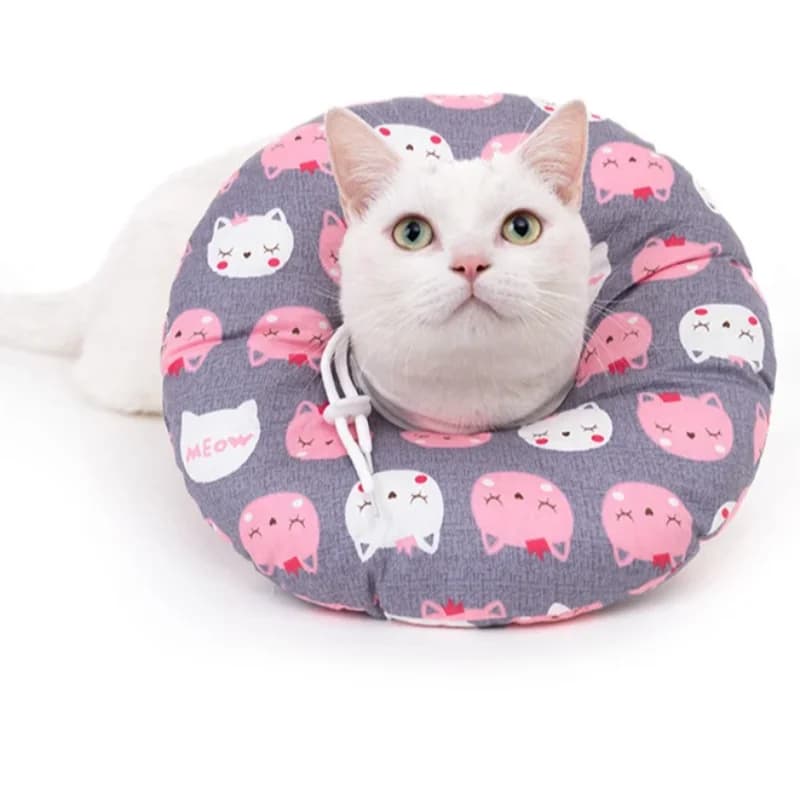 Collier de Récupération Réglable pour Chat et Chien, Cône Souple, E-Collar, Guérison des Plaies, Cône de Protection après la Chirurgie,