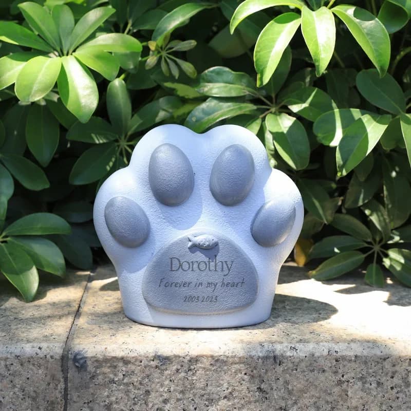 Boîte à cercueil Creative Sky Star pour animaux de compagnie, fournitures pour animaux de compagnie, chat, chien, boîte agaçante, fournitures