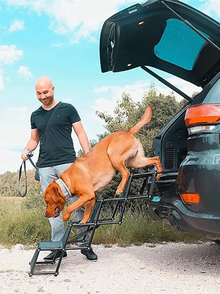 Escalier pour chien – Aide à l'entrée pour chien – Rampe pliable – Échelle portable pour coffre de voiture – Rampe pliante pour petits et