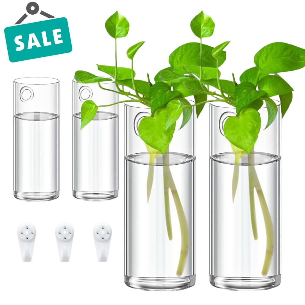 Jardinières murales en verre suspendues, supports de Terrarium, plantes transparentes, décoration murale de jardin, salon, 3/6 paquets