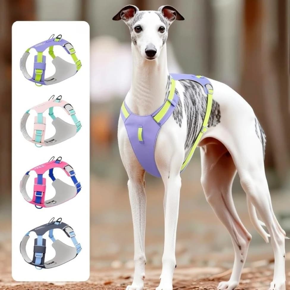 Nouveau Harnais Léger Réfléchissant pour Chien et Chat, Sangle de Poitrine Anti-Traction, Gilet Doux et Réglable pour Animaux de Compagnie en