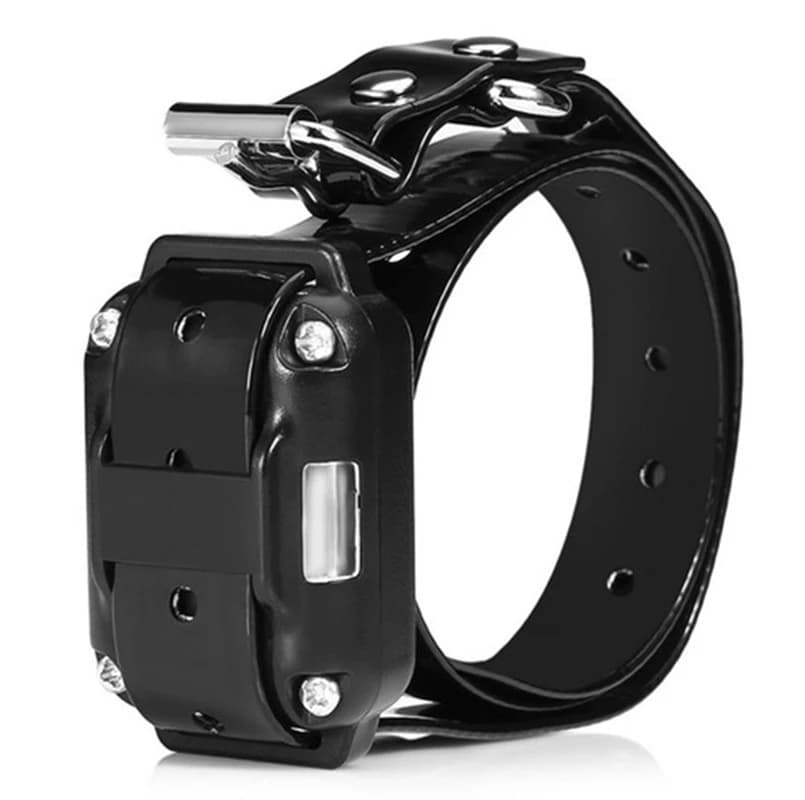 Seulement collier électronique sans automatique, veuillez acheter la télécommande