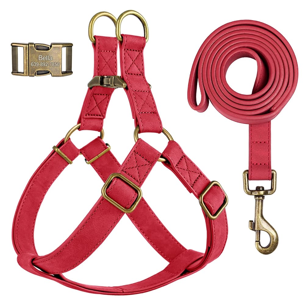 Harnais et laisse personnalisés en cuir PU, harnais à boucle d'identification gravée pour chien, corde principale pour animaux de compagnie,