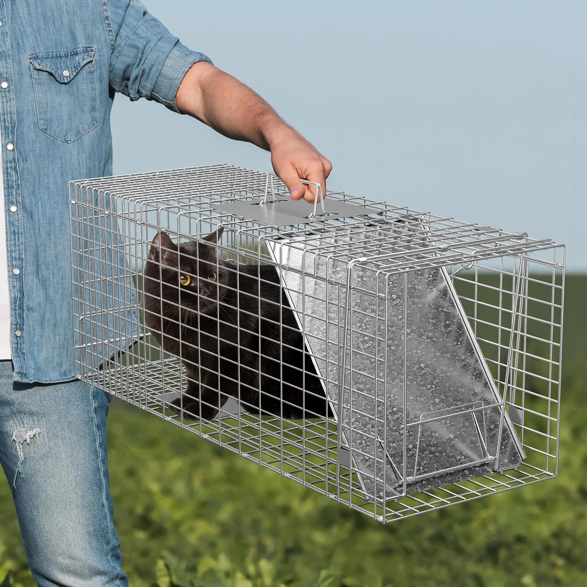 Piège à animaux vivants pliable avec poignée pour attraper et libérer, adapté aux lapins, écureuils, ratons laveurs, marmottes, chats errants