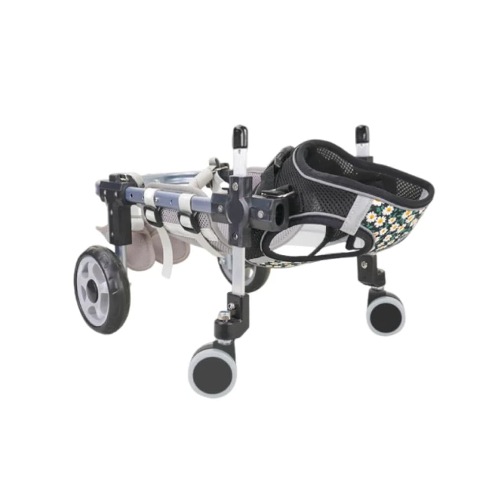 Chariot de Mobilité Léger en Aluminium pour Animaux de Compagnie, 2/4 Roues, Fauteuil Roulant Réglable pour la Rééducation Animale, Entraînement