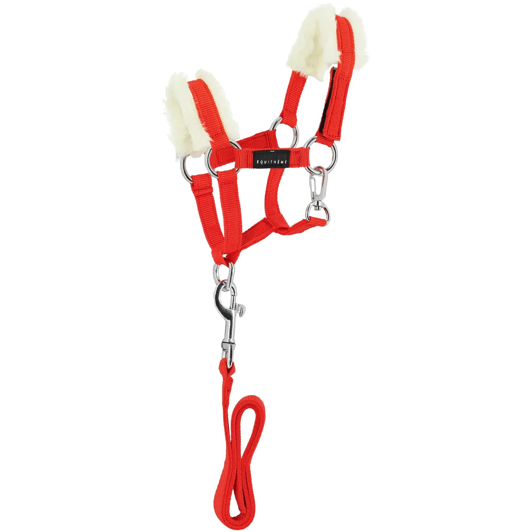 Ensemble licol et longe pour cheval Equithème Pony Academy