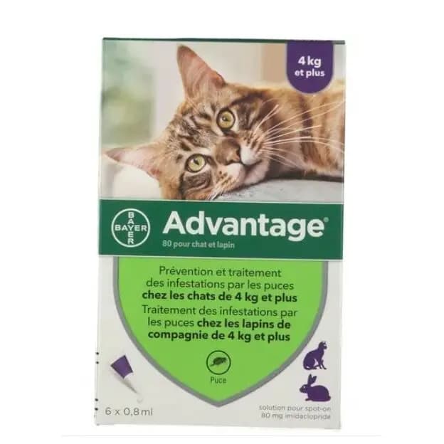 Anti-puces Elanco Advantage (4-10 kg)C