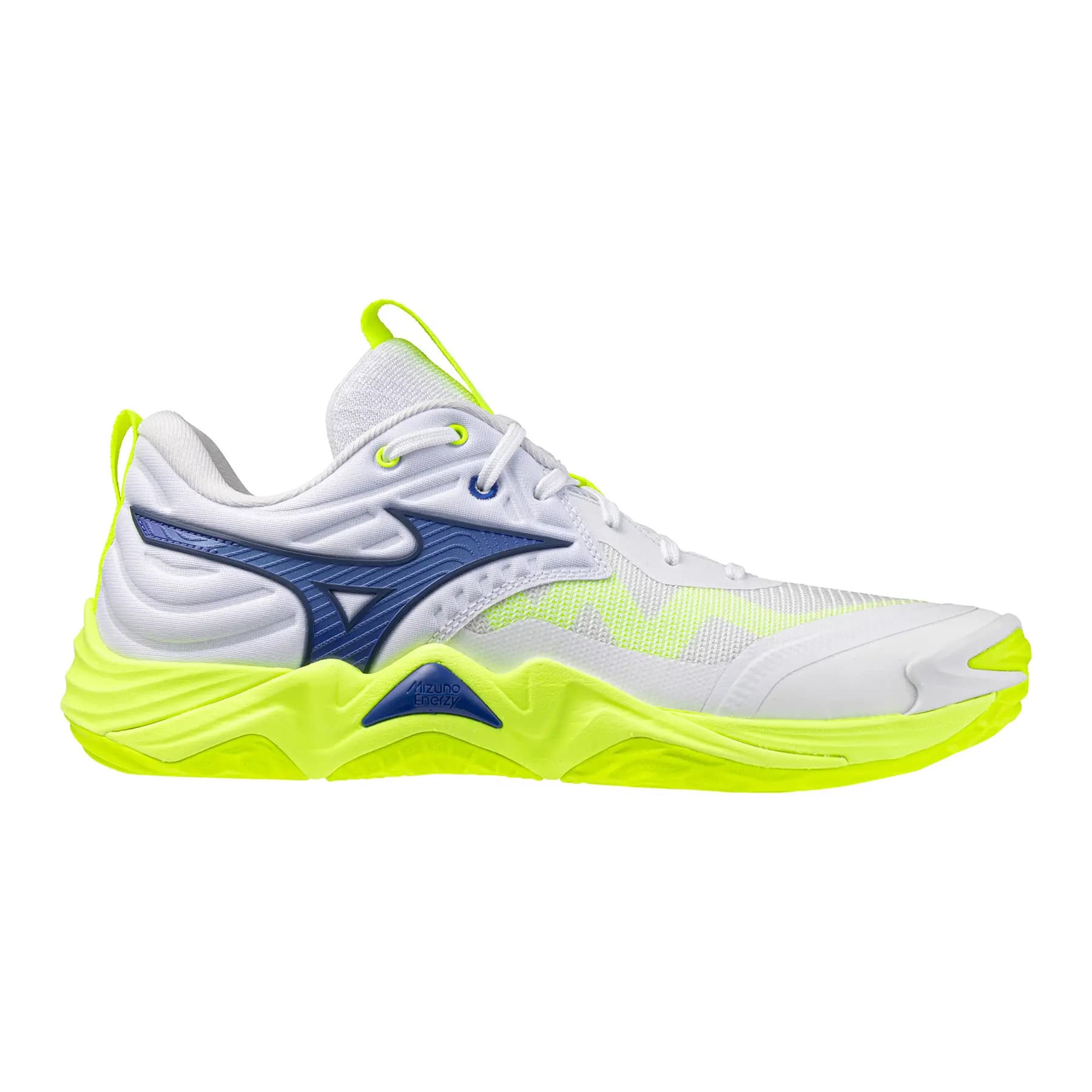 Chaussures indoor Mizuno Wave Momentum Elite