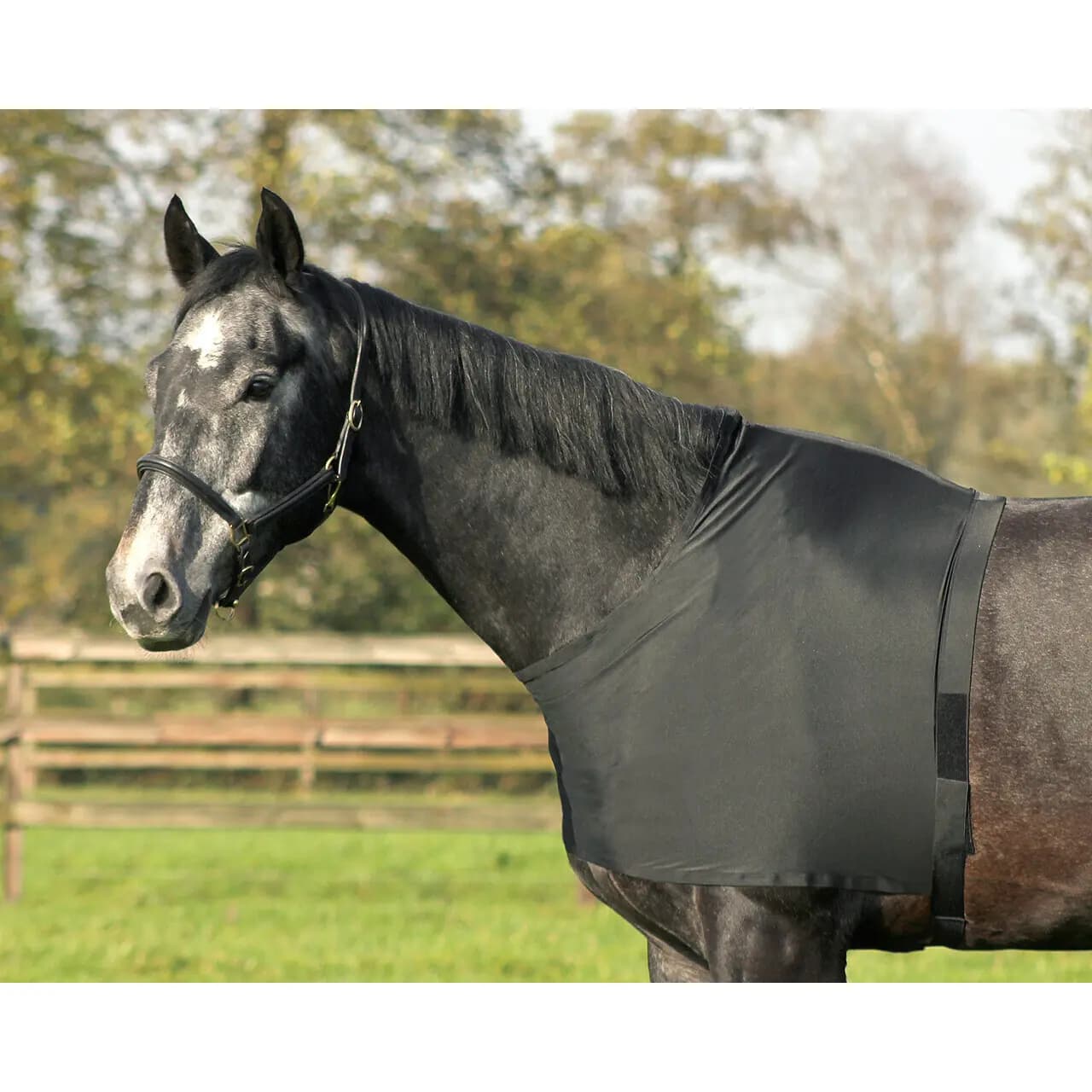 Protection poitrine et épaules en élasthanne Q-essentials