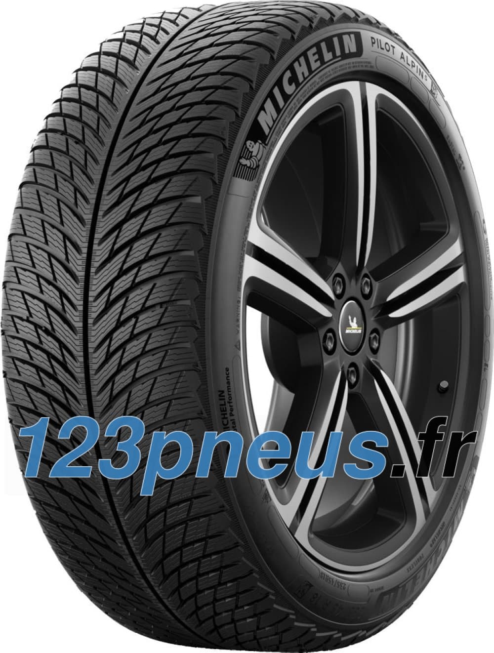 Michelin Pilot Alpin 5 ( 255/40 R20 101V XL EV Suitable, MO1 )