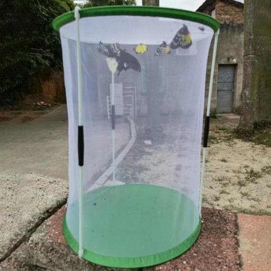 Mini serre pour l'observation des papillons en intérieur et en extérieur, robuste et réutilisable, en forme de cylindre