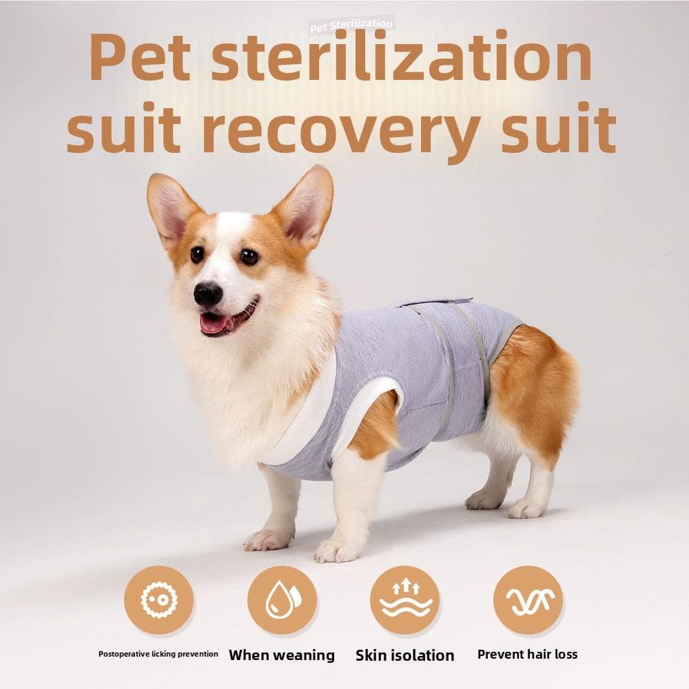 Vêtements de stérilisation pour chien, Vêtements anti-léchage pour chiens de petite et moyenne taille après l'opération, Culotte physiologique