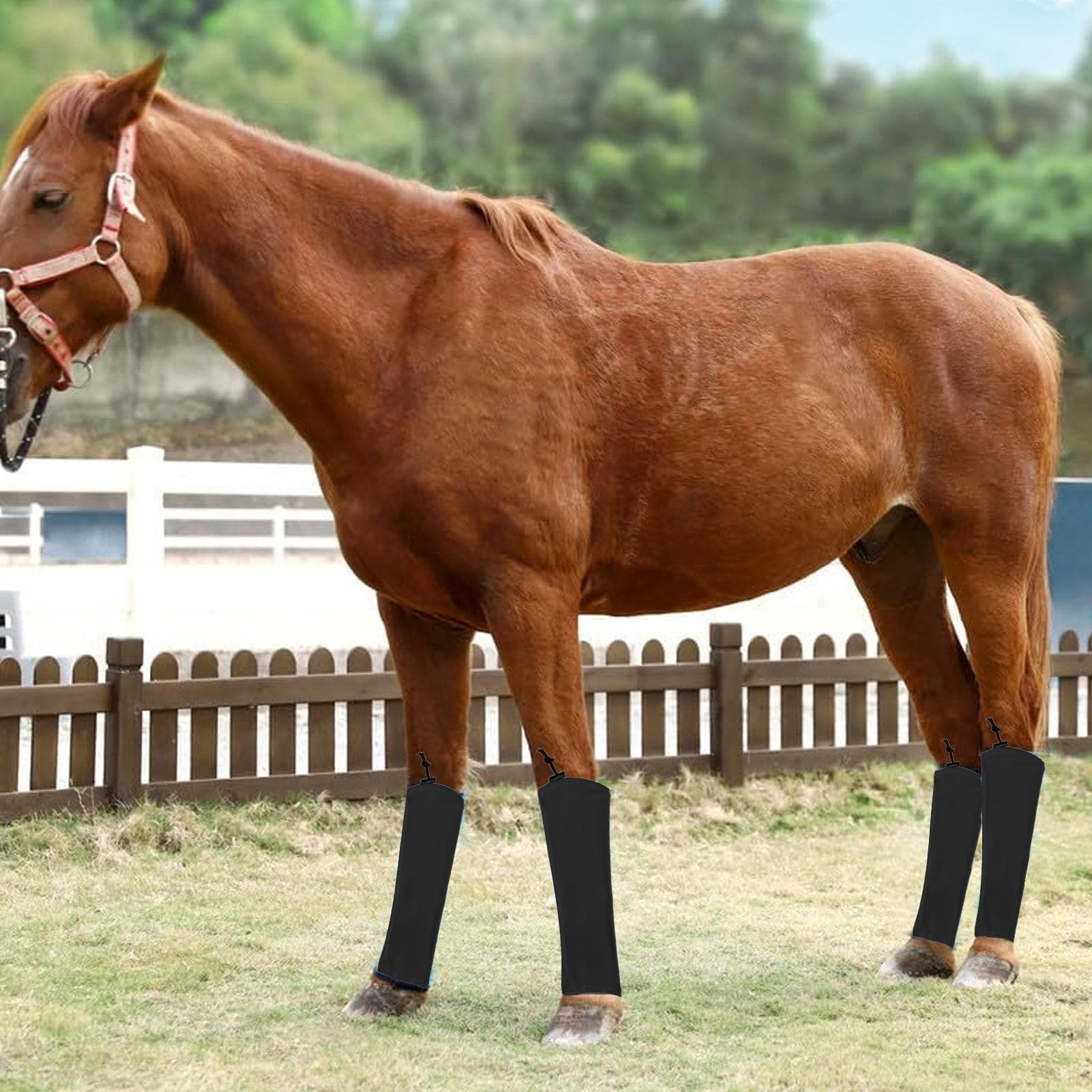 Chaussettes anti-mouches pour chevaux Leggings respirants pour équidés Bottes anti-mouches réglables pour chevaux Pour le pré, l'écurie, la