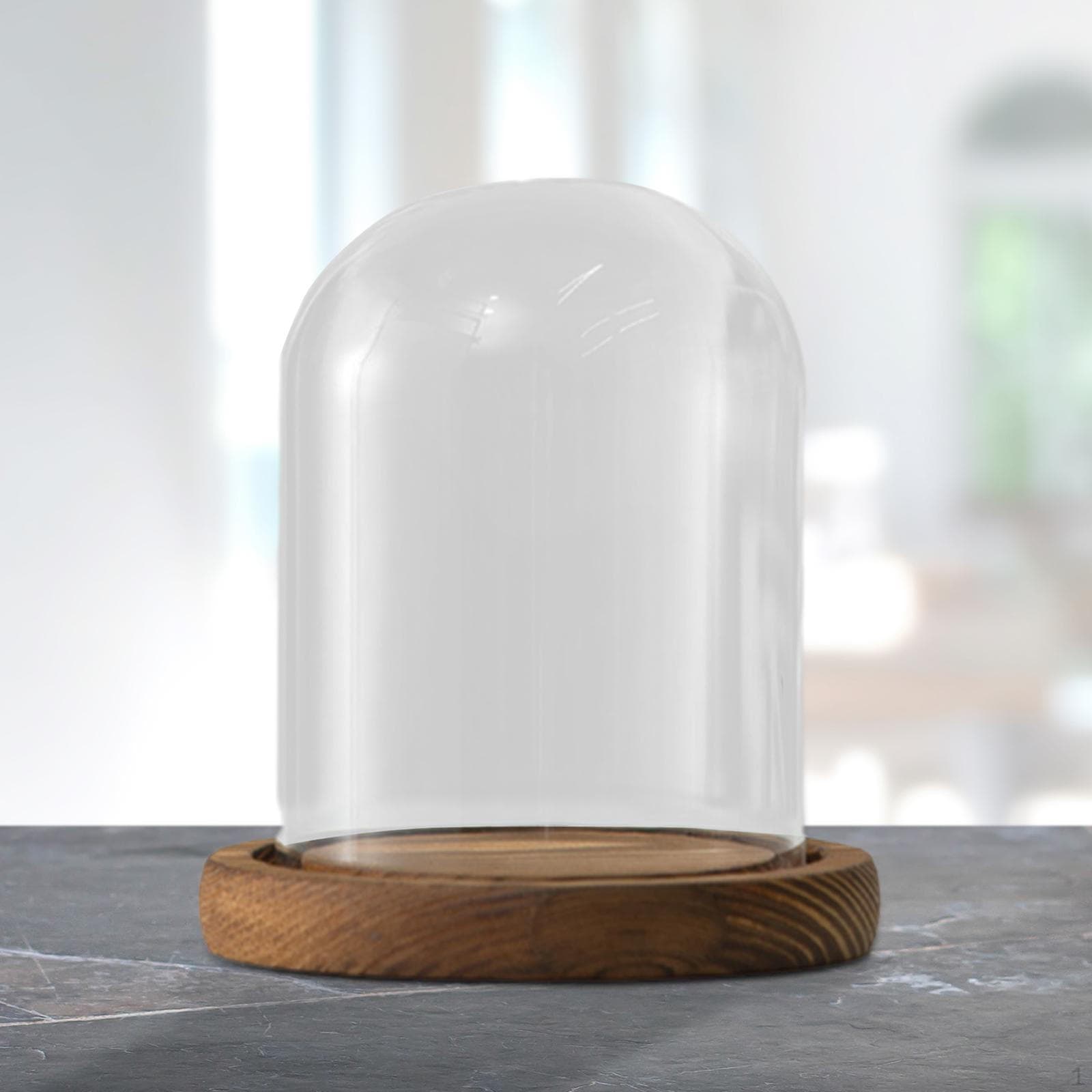 Cloche en verre transparent de 3,5 pouces de diamètre, couvercle transparent, vitrine de table ronde avec base en bois