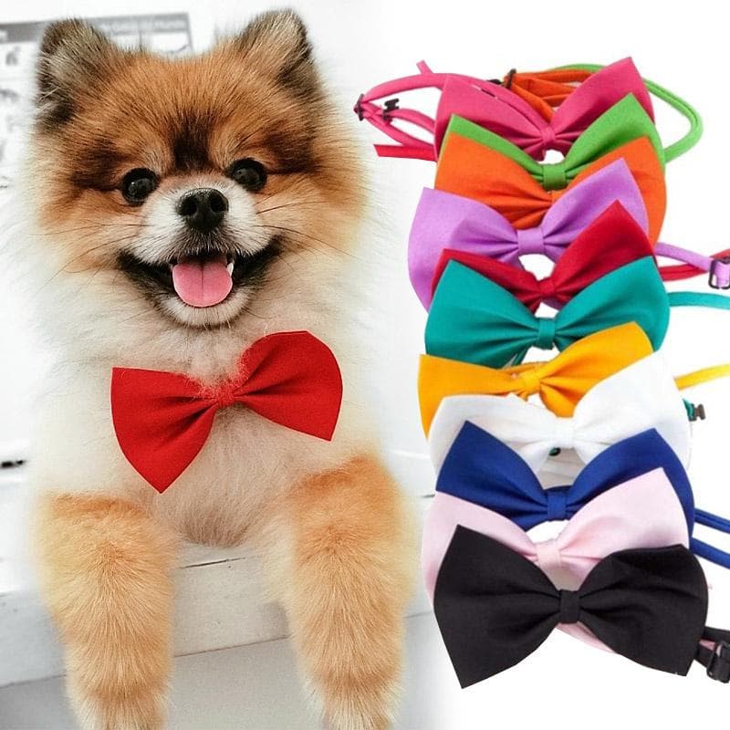 Collier pour chien et chat, sangle réglable, accessoires pour chiens et chats, nœud papillon pour chiot, fournitures pour animaux de compagnie vert