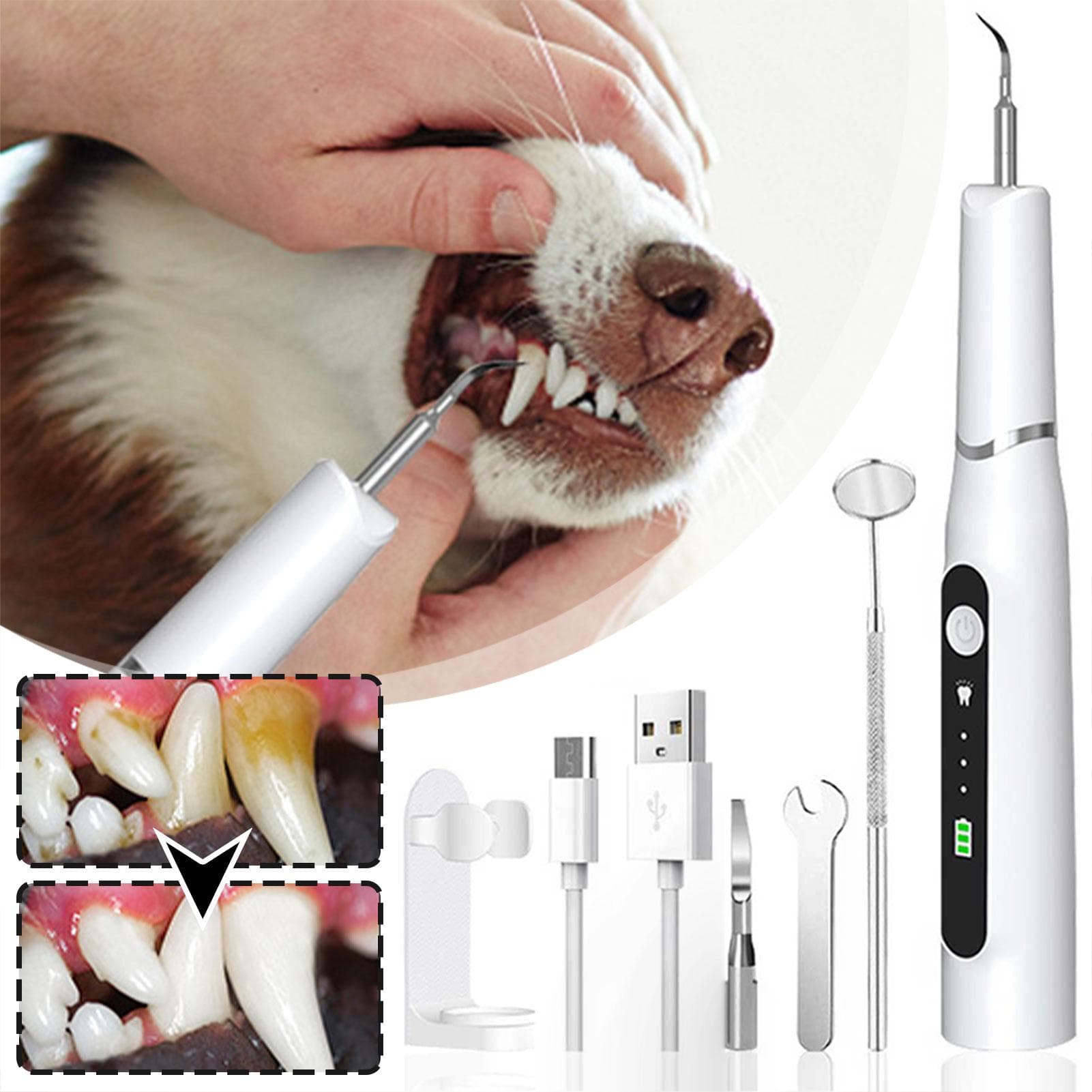 Détartreur Dentaire pour Chien Pour Enlèvement du Tartre Dentaire, Kit de Nettoyage Dentaire Ultrasonique, Nettoyeur de Dents à Chargement USB,