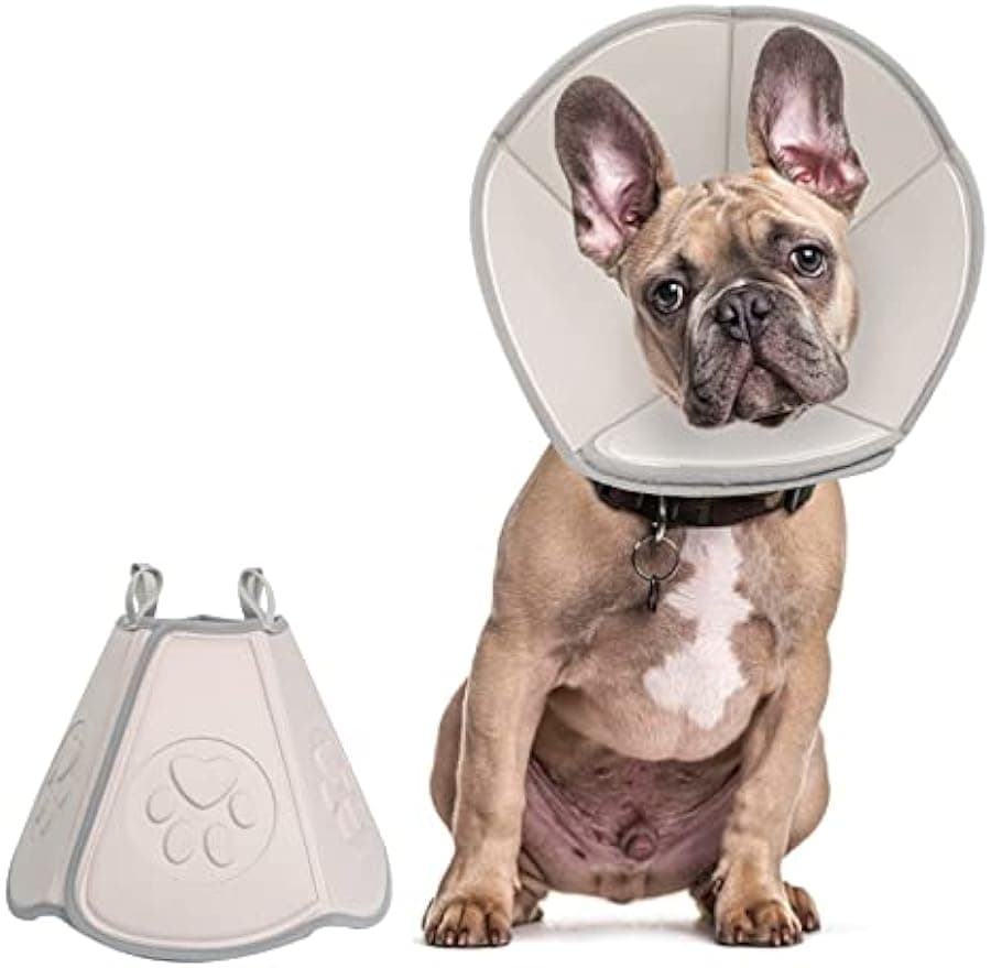 Cône de chien souple réglable, collier de récupération pour chien après une chirurgie, cicatrisation des plaies anti-morsure, collier Elizabeth,