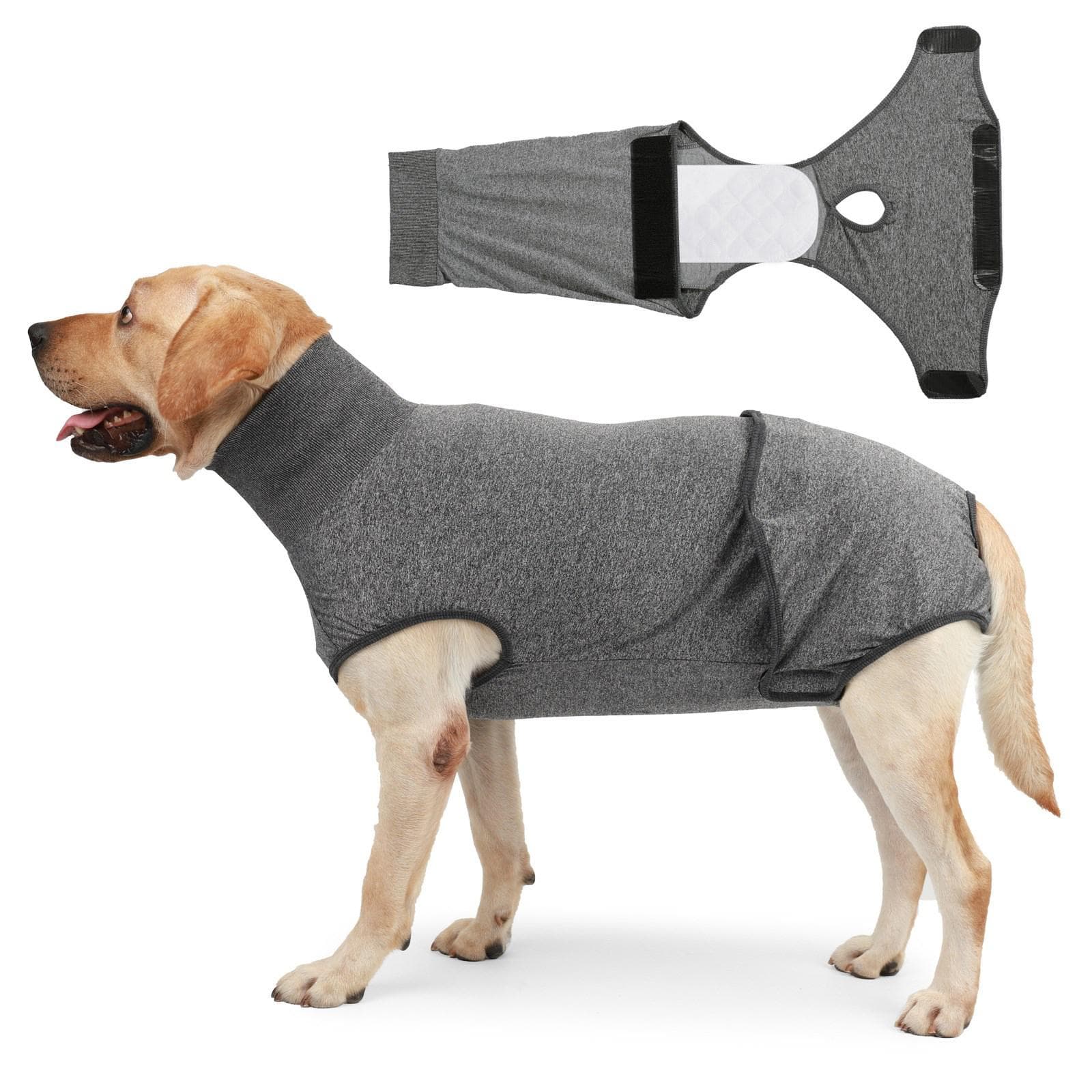 Combinaison de récupération post-opératoire respirante pour chien Idéale pour le confort et la protection après une procédure de stérilisation