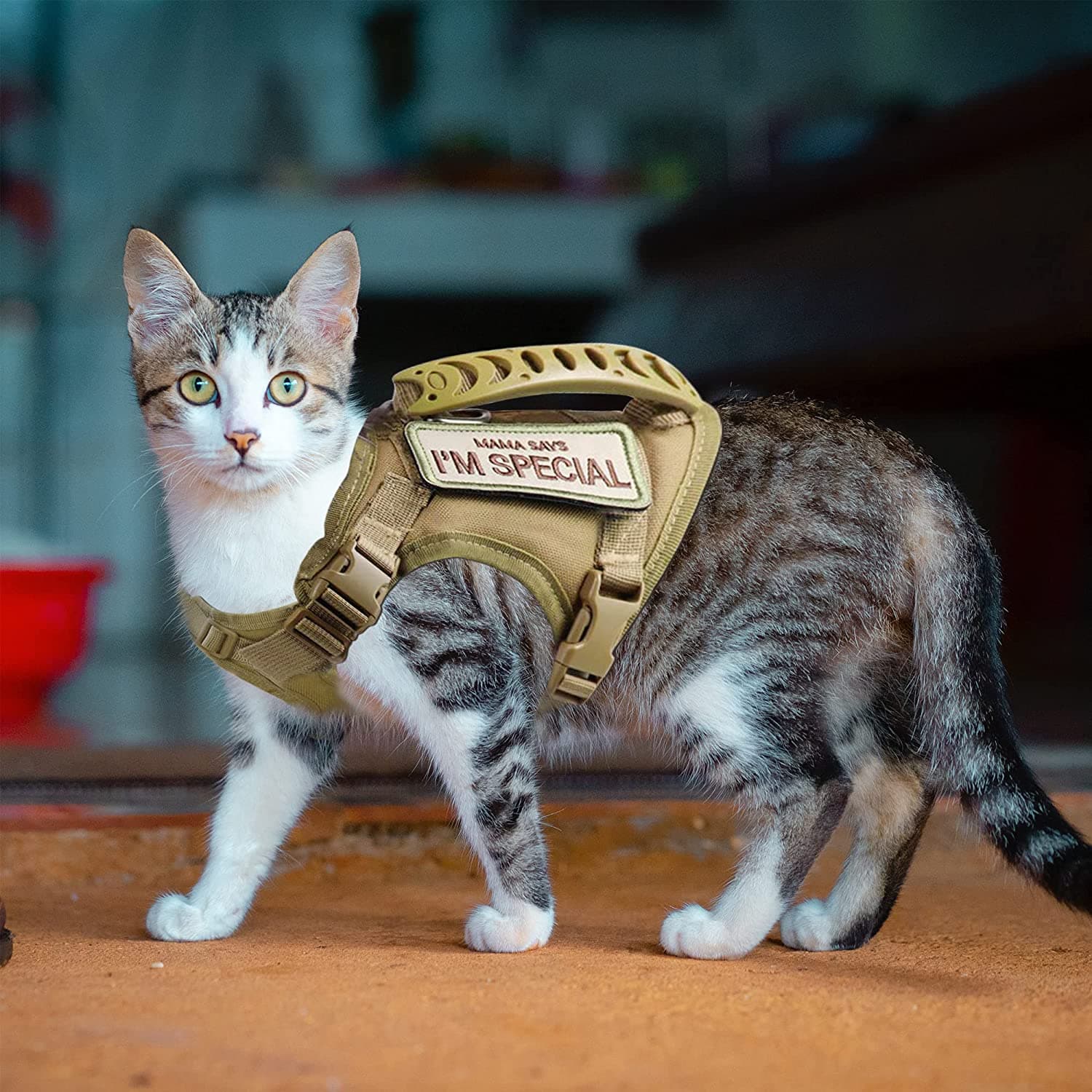 Harnais Tactique pour Chat pour la Promenade Anti-Fuite Réglable Gilet pour Animal de Compagnie Maille Douce avec Poignée de Contrôle pour Chat de