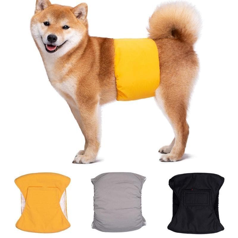 Culottes lavables et imperméables pour animaux de compagnie, couches pour chiens adultes et hommes de taille moyenne vert