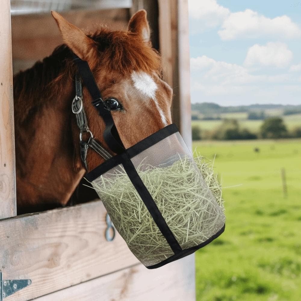 Sac d'alimentation étanche multicolore pour chevaux Muselière de pâturage élastique réglable Maille respirante Sac fourre-tout distributeur de