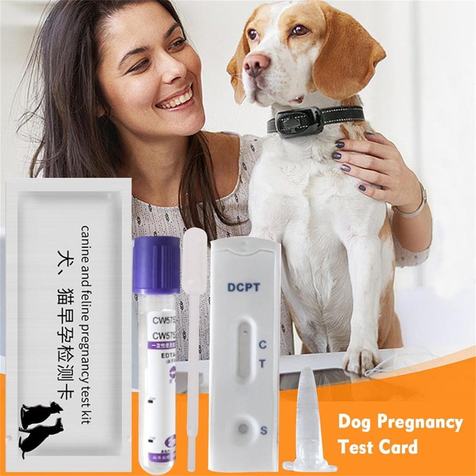 Bandelette de test de grossesse pour chien Carte de test de grossesse pour chien Test de grossesse pour chien