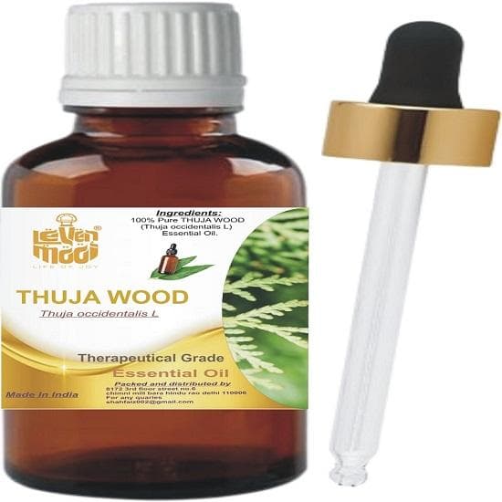Levenmooi Bois de thuya (Thuja occidentalis) Huile Essentielle de Qualité Thérapeutique Pure & Naturelle Verre