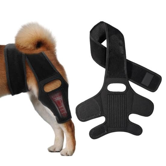 Attelle réglable de jambe de genou de hanche de chien, attelle ACL de chien pour le dos des pattes arrière déchirées, dysplasie de la hanche,